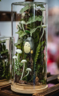 DOKOMI_079