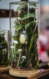DOKOMI_079