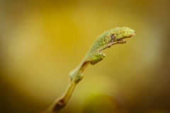 _DSC8841