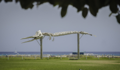 Urlaub auf Fuerteventura 2026