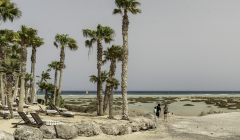 Urlaub auf Fuerteventura 2026
